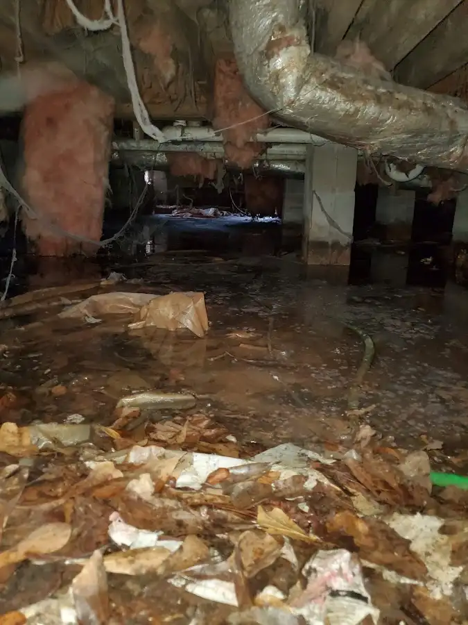 Crawl space flood assessment for Leak Detection & Repair in Oakley